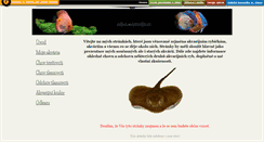 Desktop Screenshot of akva.mistecko.cz
